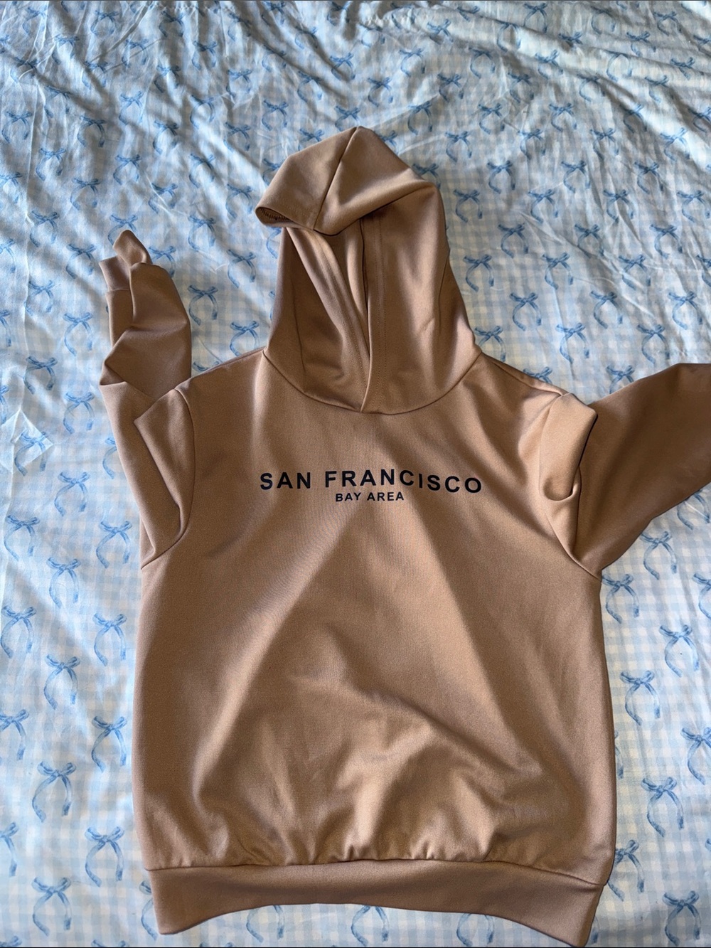 San Francisco Bay Area Hoodie - Taupe